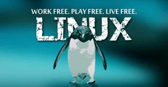 Linux入门
