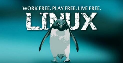 重庆Linux学习
