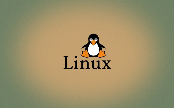 Linux常用的命令有哪些呢?