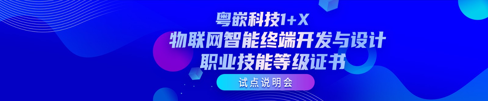 1+x证书